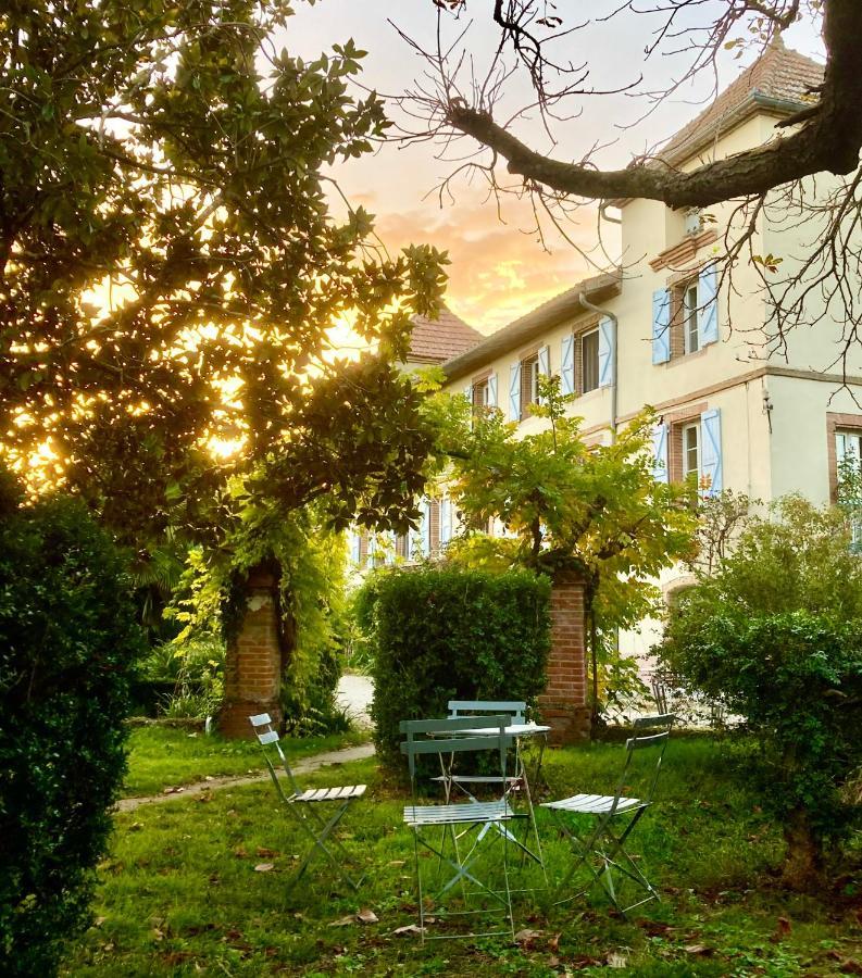 Domaine De Menerque - Petit Chateau Avec Piscine Lisle-sur-Tarn Eksteriør bilde