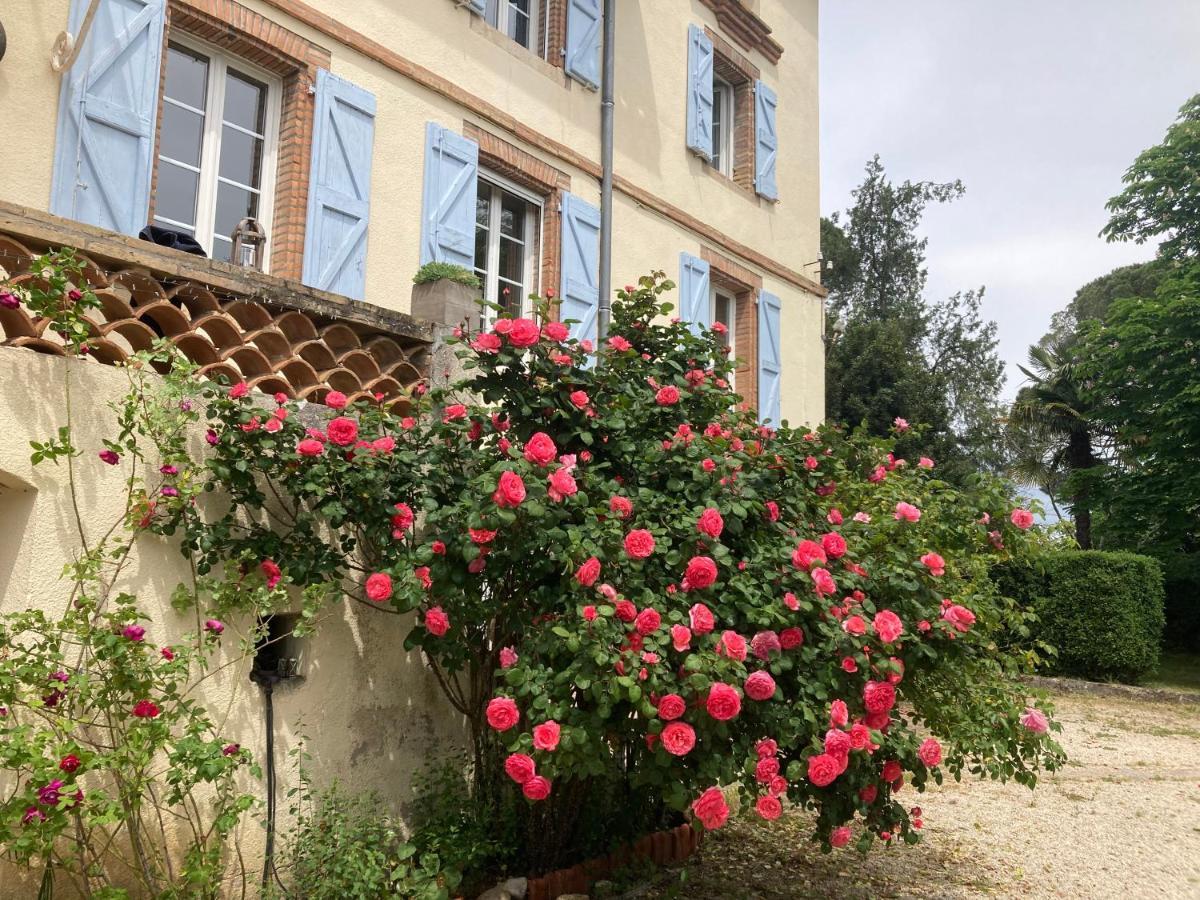 Domaine De Menerque - Petit Chateau Avec Piscine Lisle-sur-Tarn Eksteriør bilde