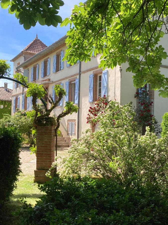 Domaine De Menerque - Petit Chateau Avec Piscine Lisle-sur-Tarn Eksteriør bilde