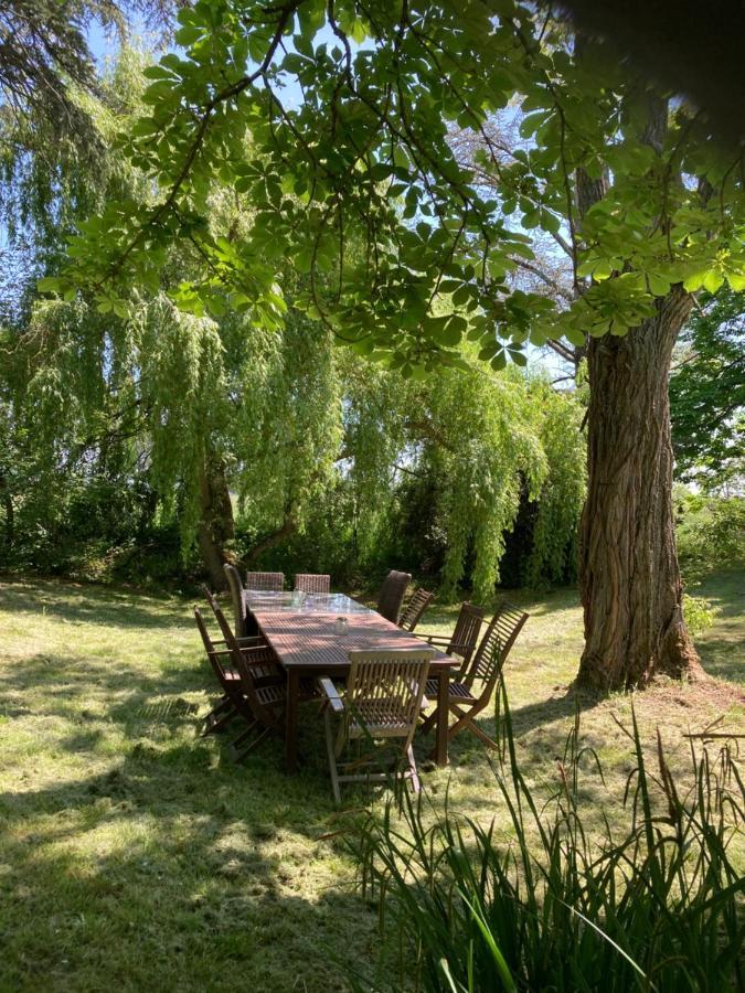 Domaine De Menerque - Petit Chateau Avec Piscine Lisle-sur-Tarn Eksteriør bilde