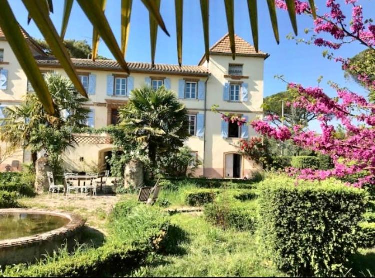 Domaine De Menerque - Petit Chateau Avec Piscine Lisle-sur-Tarn Eksteriør bilde