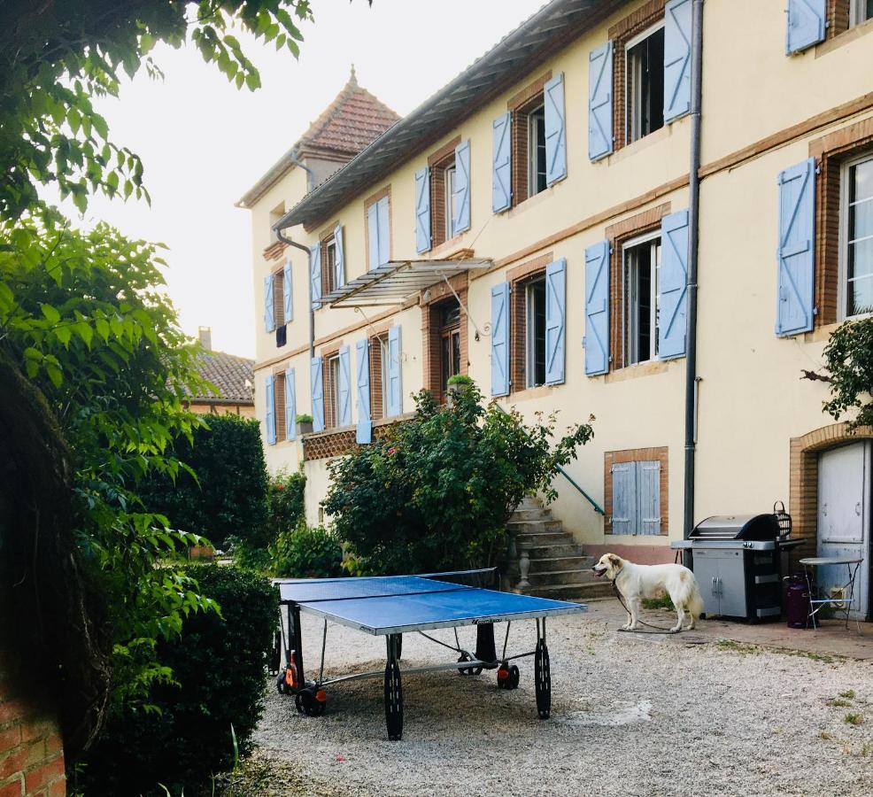 Domaine De Menerque - Petit Chateau Avec Piscine Lisle-sur-Tarn Eksteriør bilde